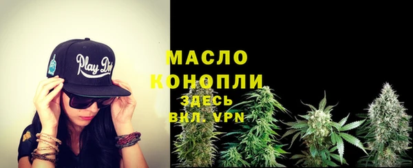 молекула духа Билибино