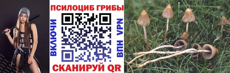 Галлюциногенные грибы MAGIC MUSHROOMS  Сысерть 